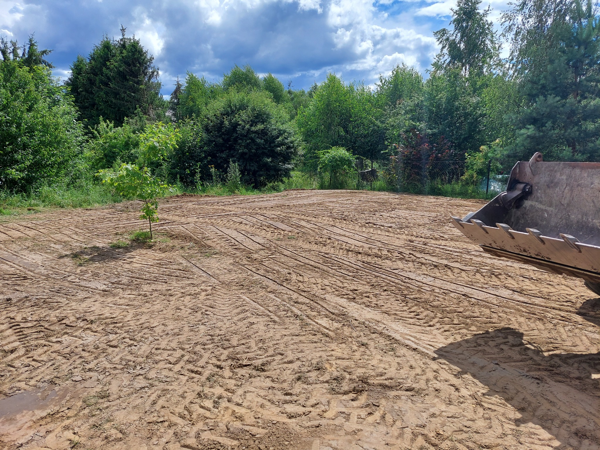 Przygotowany teren pod budowę z widocznymi śladami opon i łyżką koparki w prawym rogu, pojedyncze drzewko na środku, w tle zieleń i pochmurne niebo.