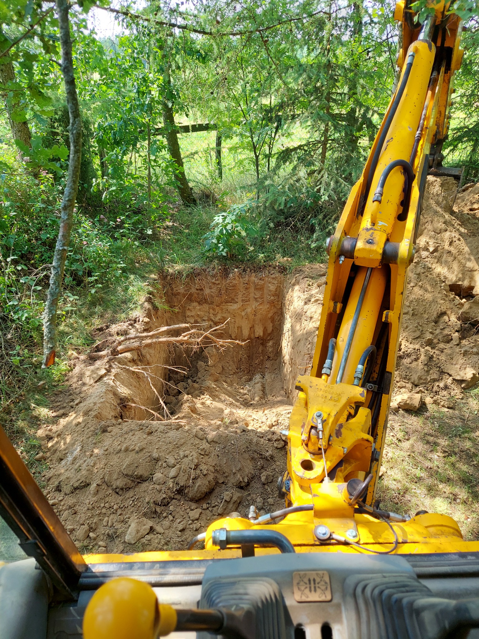 Żółta koparka z kabiny operatora podczas wykonywania wykopu w ziemi, widoczne korzenie drzew w ścianie wykopu, teren zalesiony w tle.