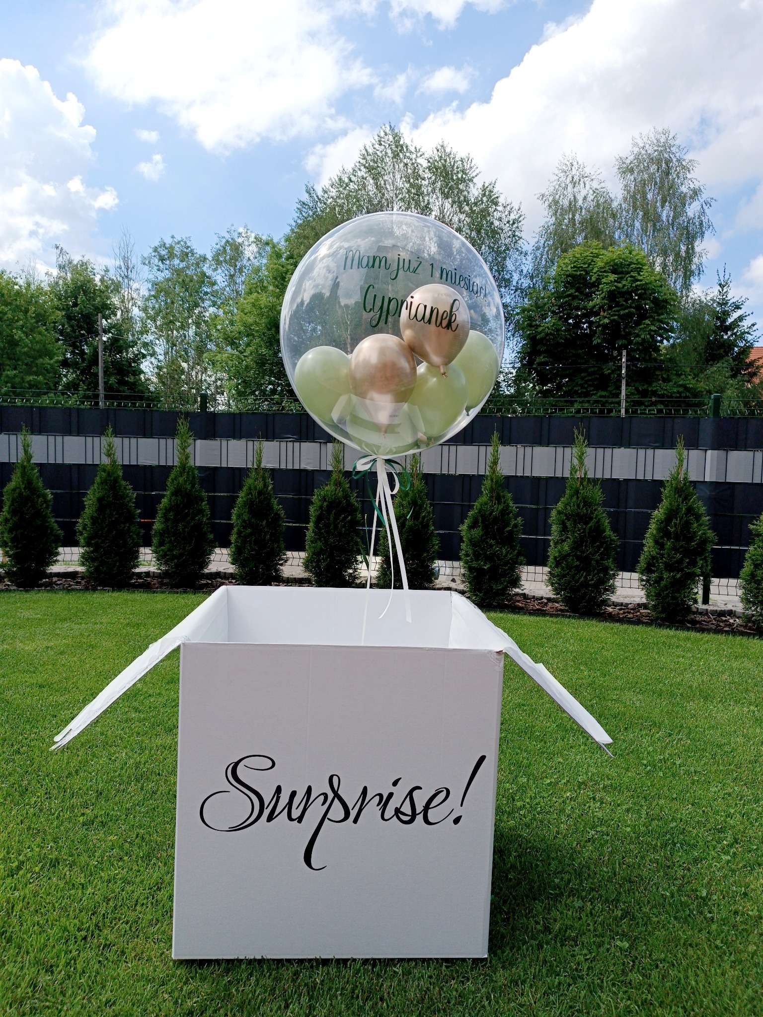 Pudełko z napisem 'Surprise!' na trawie, z którego wystaje przezroczysty balon z napisem 'Mam już 1 miesiąc Cyprianek' i kilkoma mniejszymi balonami w środku.