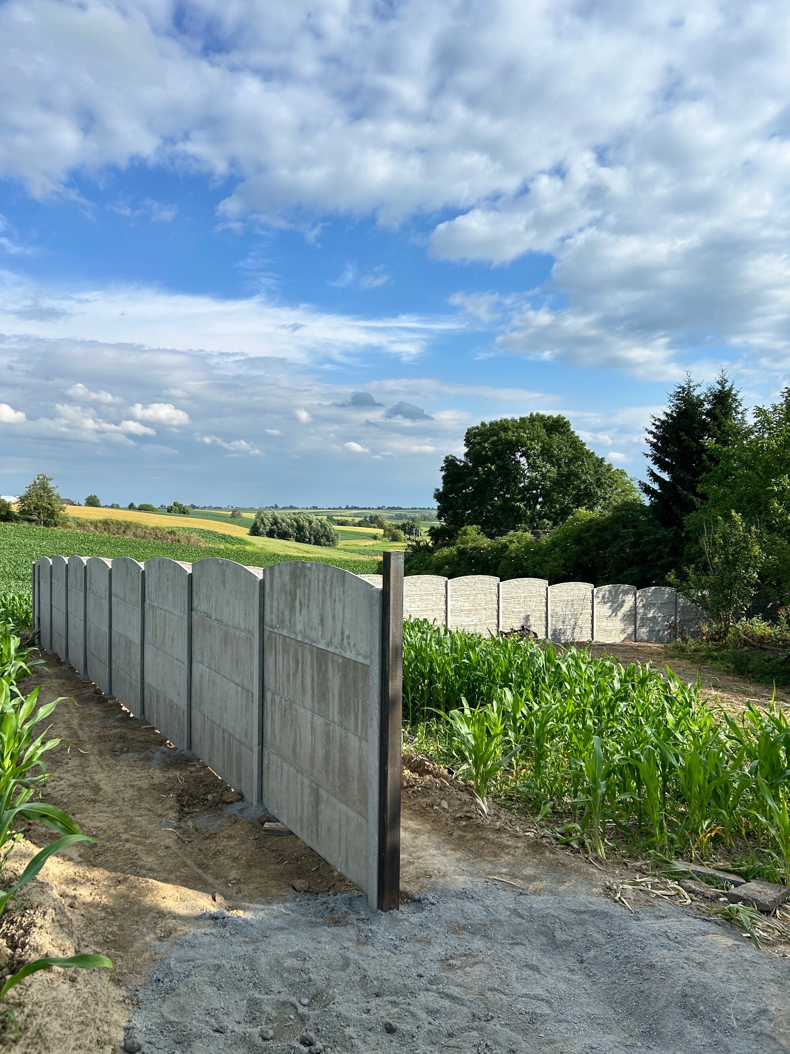 Wzniesione ogrodzenie betonowe z metalowymi słupkami, widoczne na tle pola kukurydzy i błękitnego nieba z chmurami, częściowo w cieniu, w słoneczny dzień.