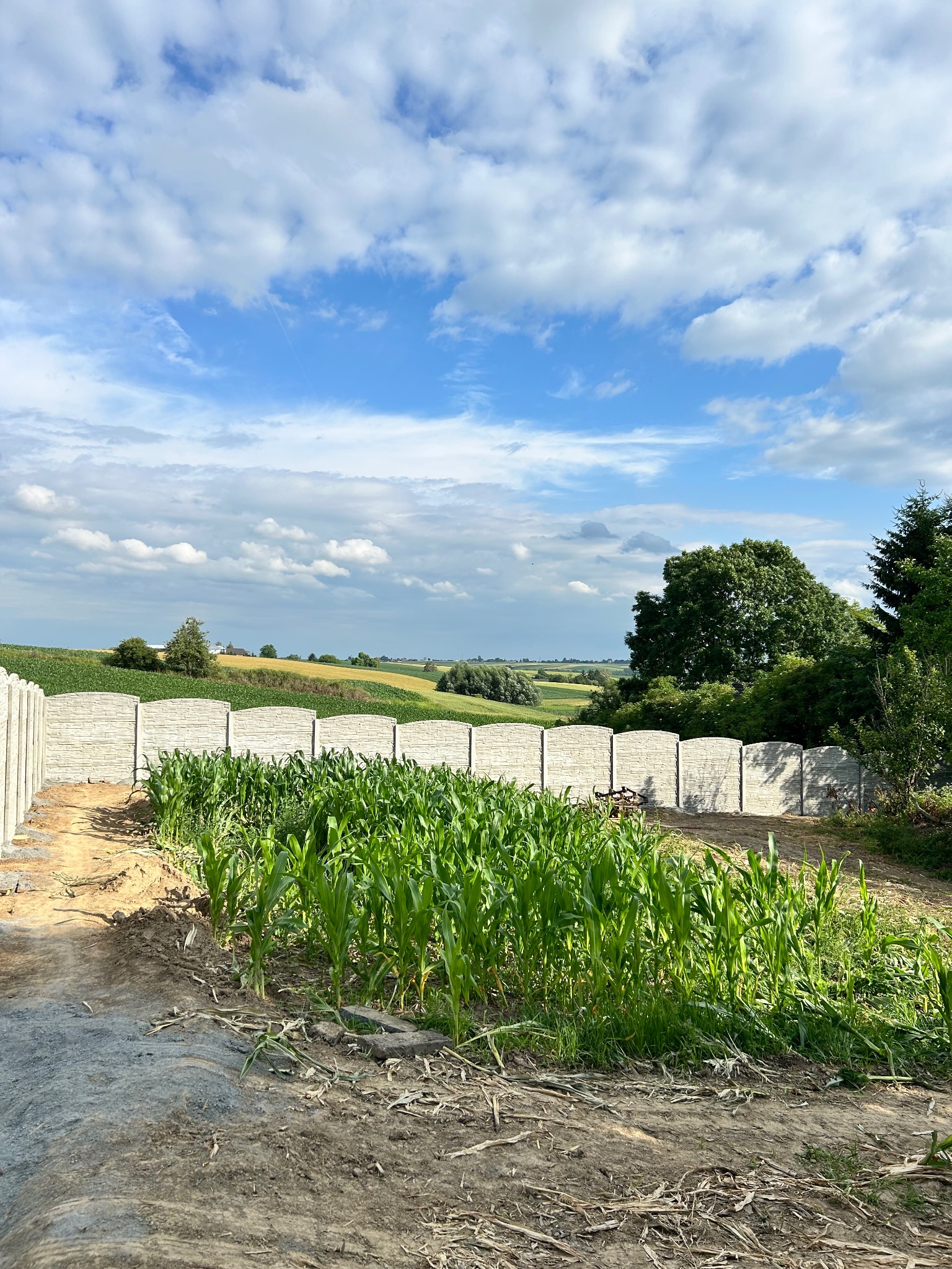 Wzniesione ogrodzenie betonowe z teksturą kamienia na tle zielonego pola kukurydzy i błękitnego nieba z chmurami. Widok na krajobraz wiejski.