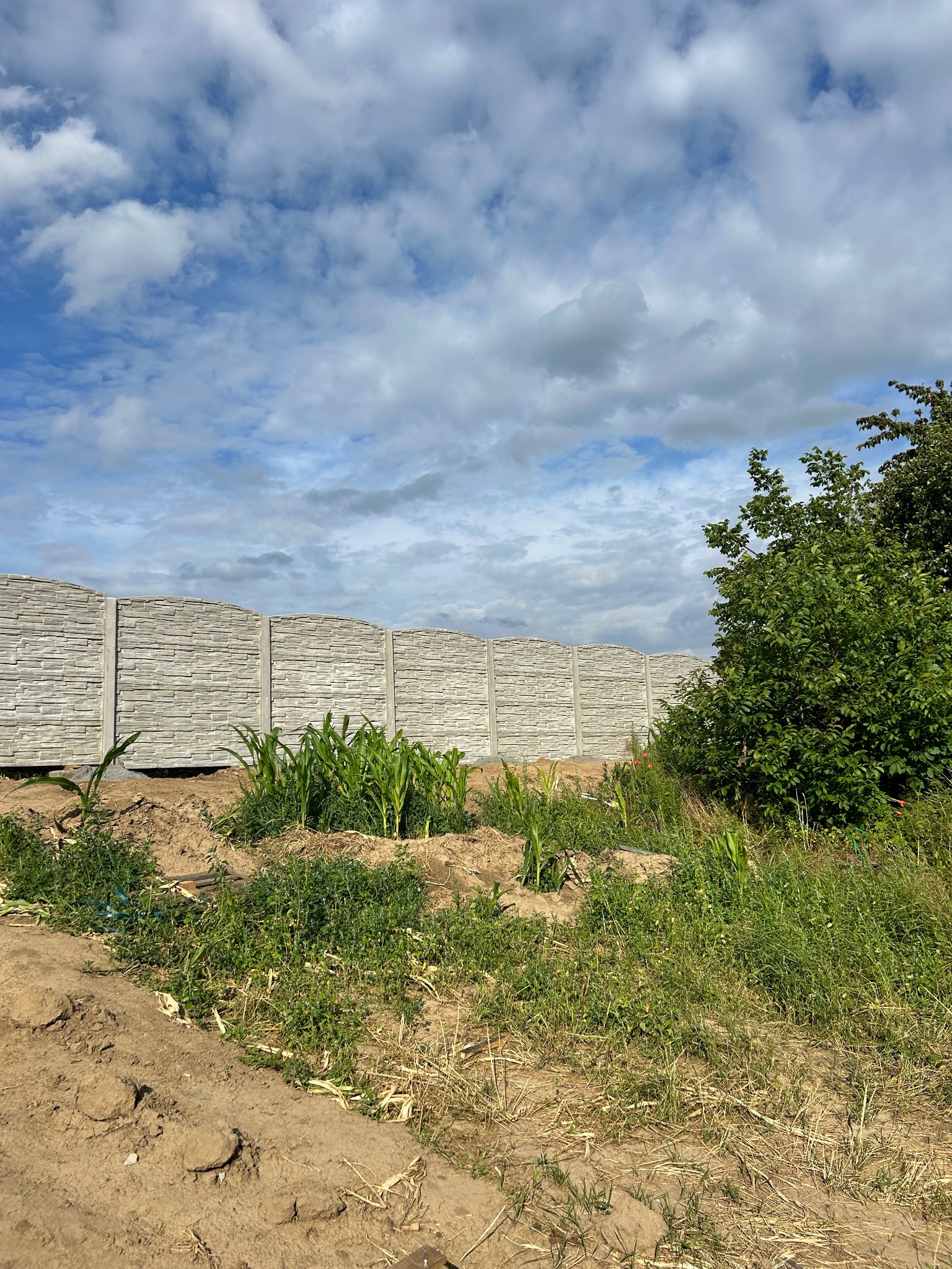 Długi, szary mur z betonowych paneli o fakturze kamienia, z falistą górną krawędzią, oddziela ogród od błękitnego nieba z chmurami.