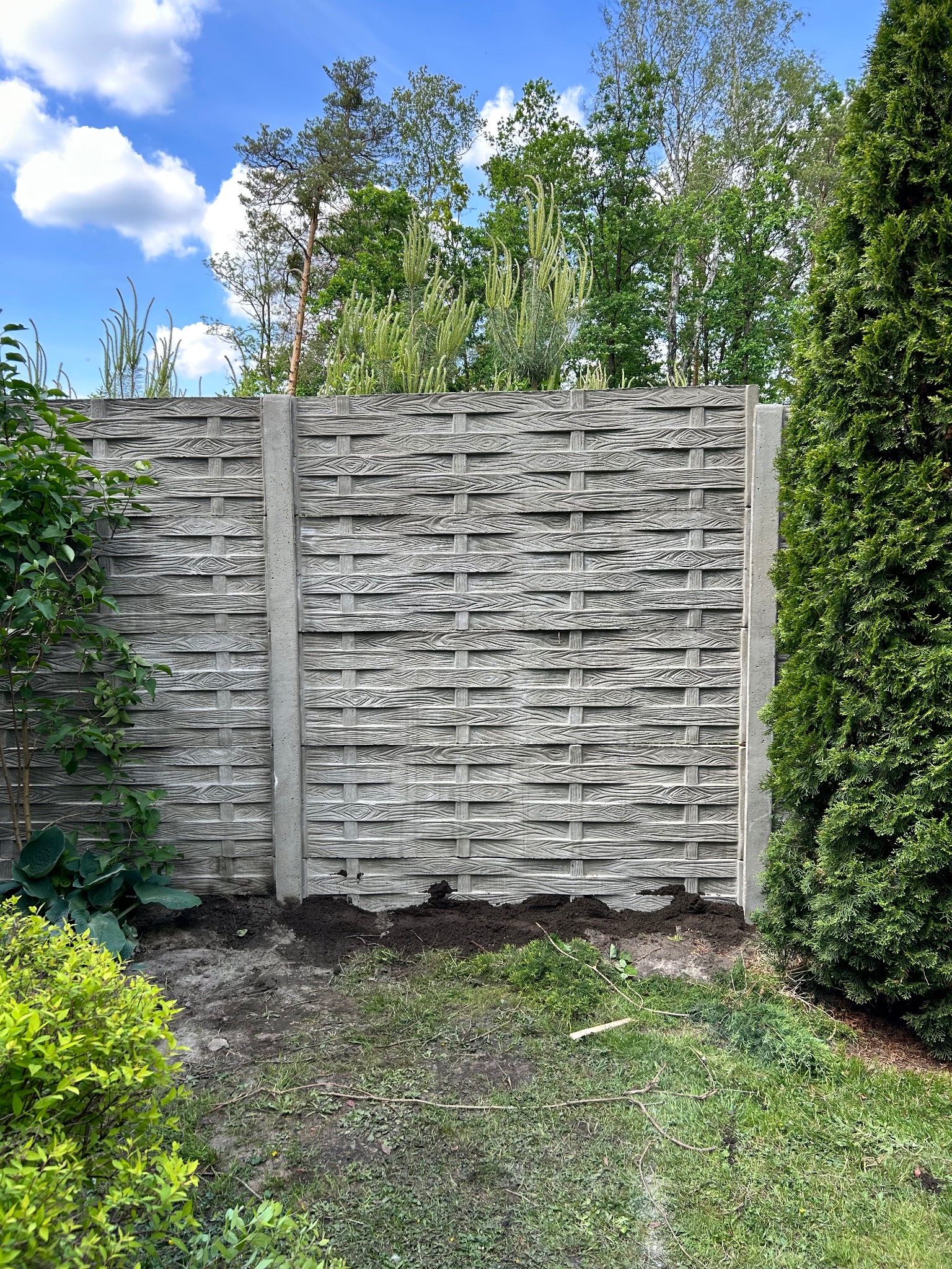 Szary, pleciony panel ogrodzenia betonowego z widocznymi słupkami na tle zieleni. Świeża ziemia przy podstawie sugeruje niedawny montaż.