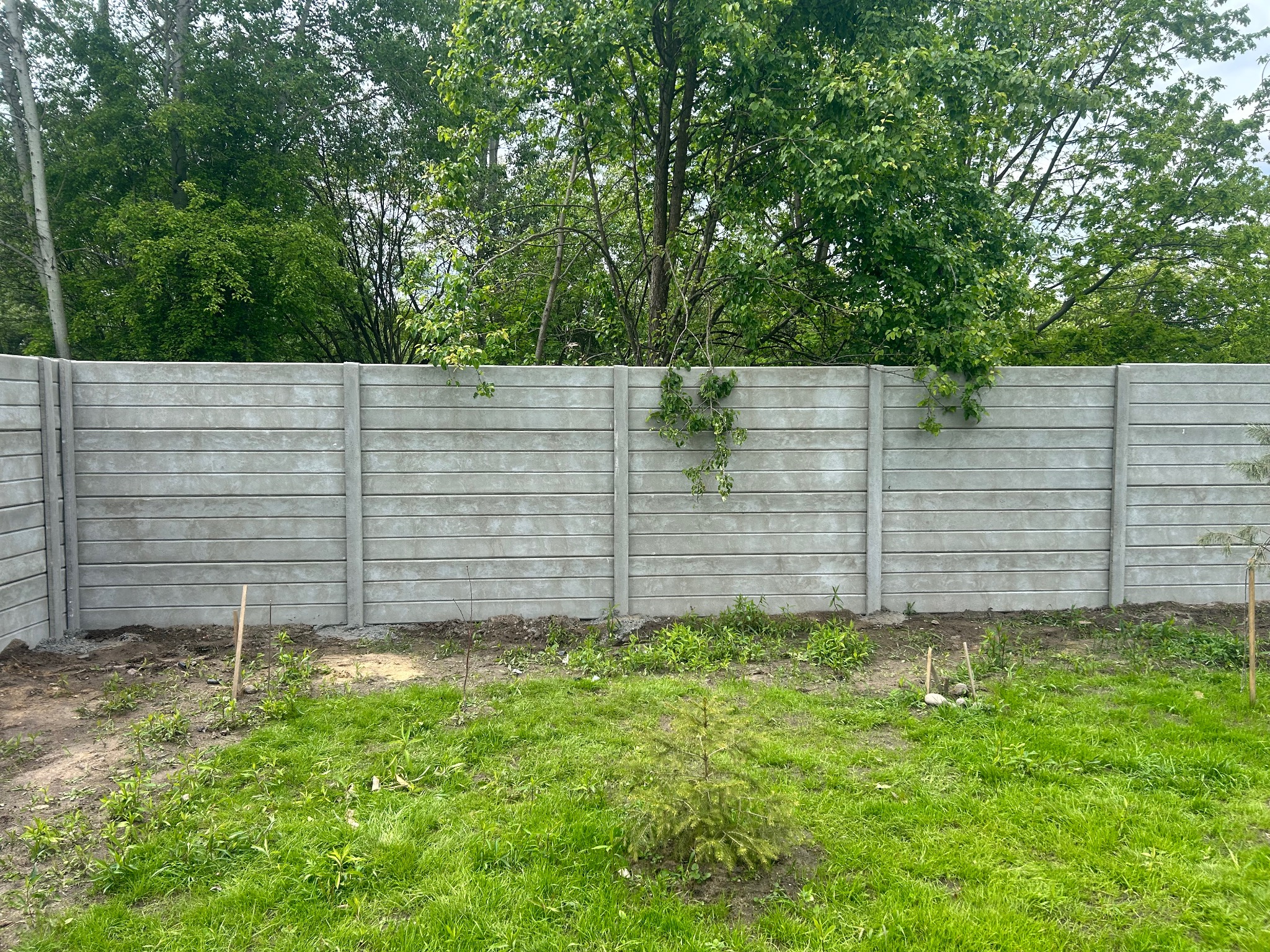 Szary, prefabrykowany płot betonowy z poziomymi żłobieniami, otoczony zielenią trawy i drzew, tworzący granicę działki w słoneczny dzień.