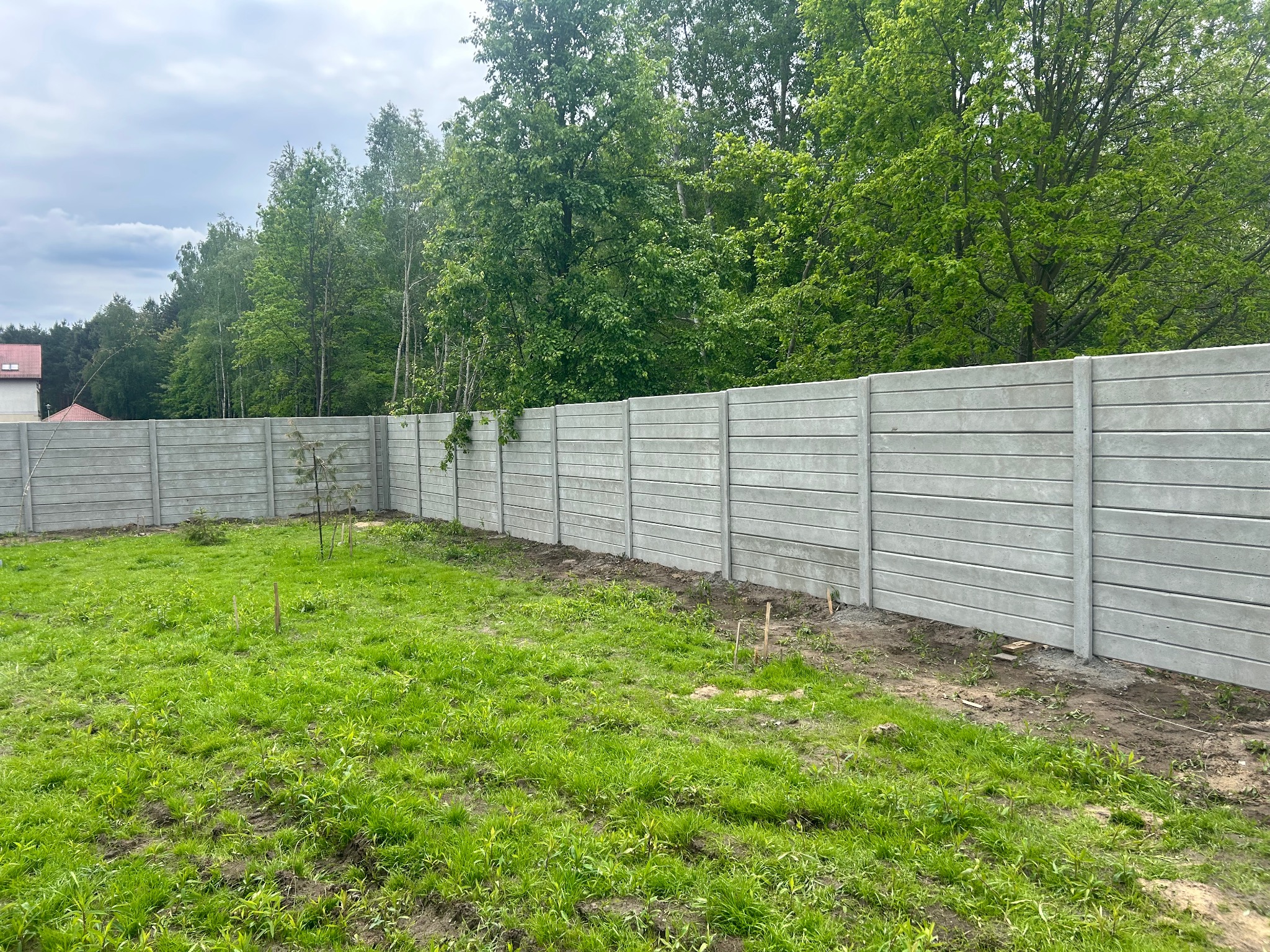 Długi, szary płot betonowy z poziomymi panelami, oddzielający trawnik od zieleni drzew. Widoczne słupki i łączenia paneli. Tło: las i fragment domu.