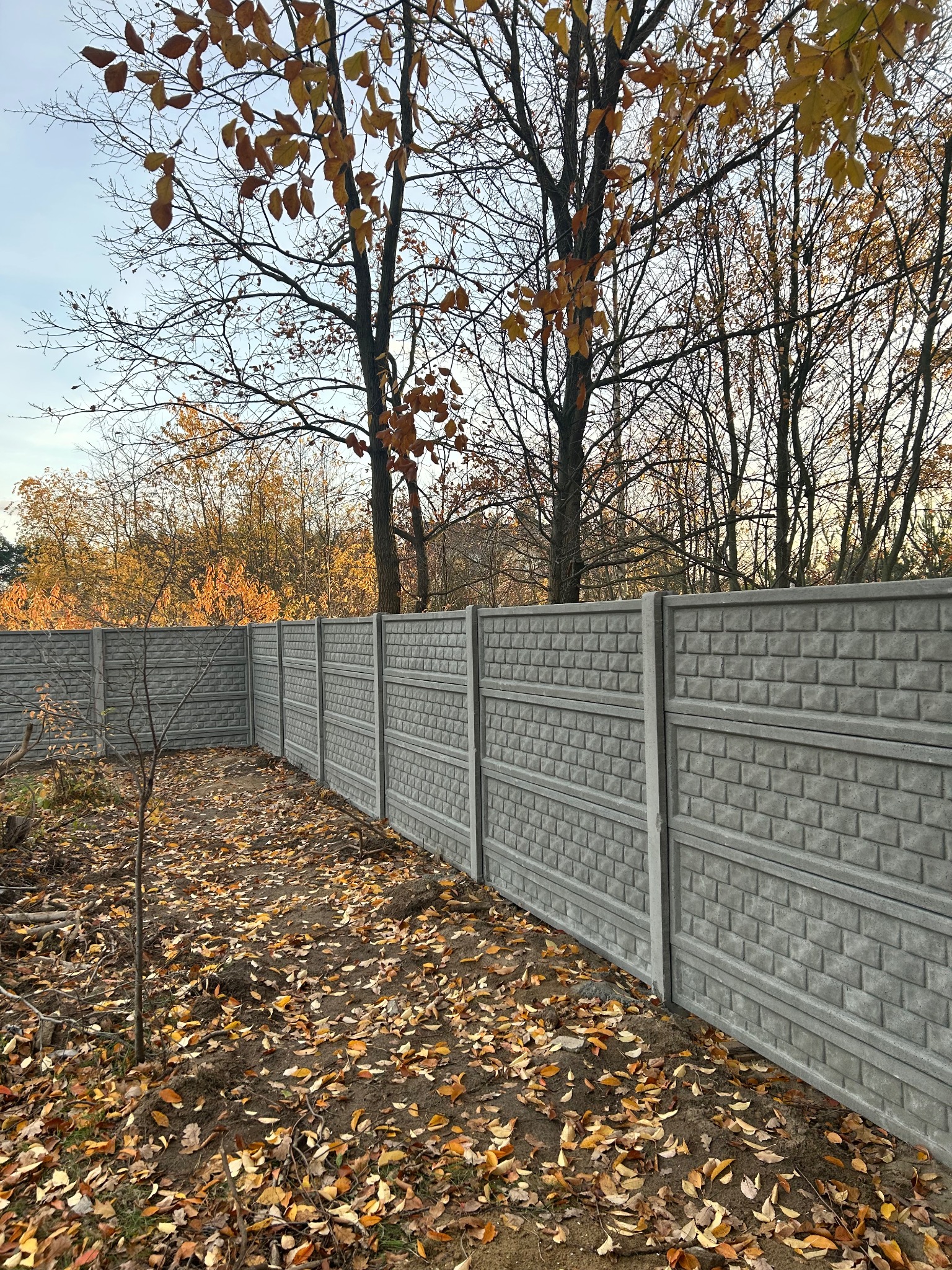 Szary, prefabrykowany płot betonowy z fakturą cegły, otoczony opadłymi liśćmi. Jesienne drzewa w tle. Widok na narożnik ogrodzenia.