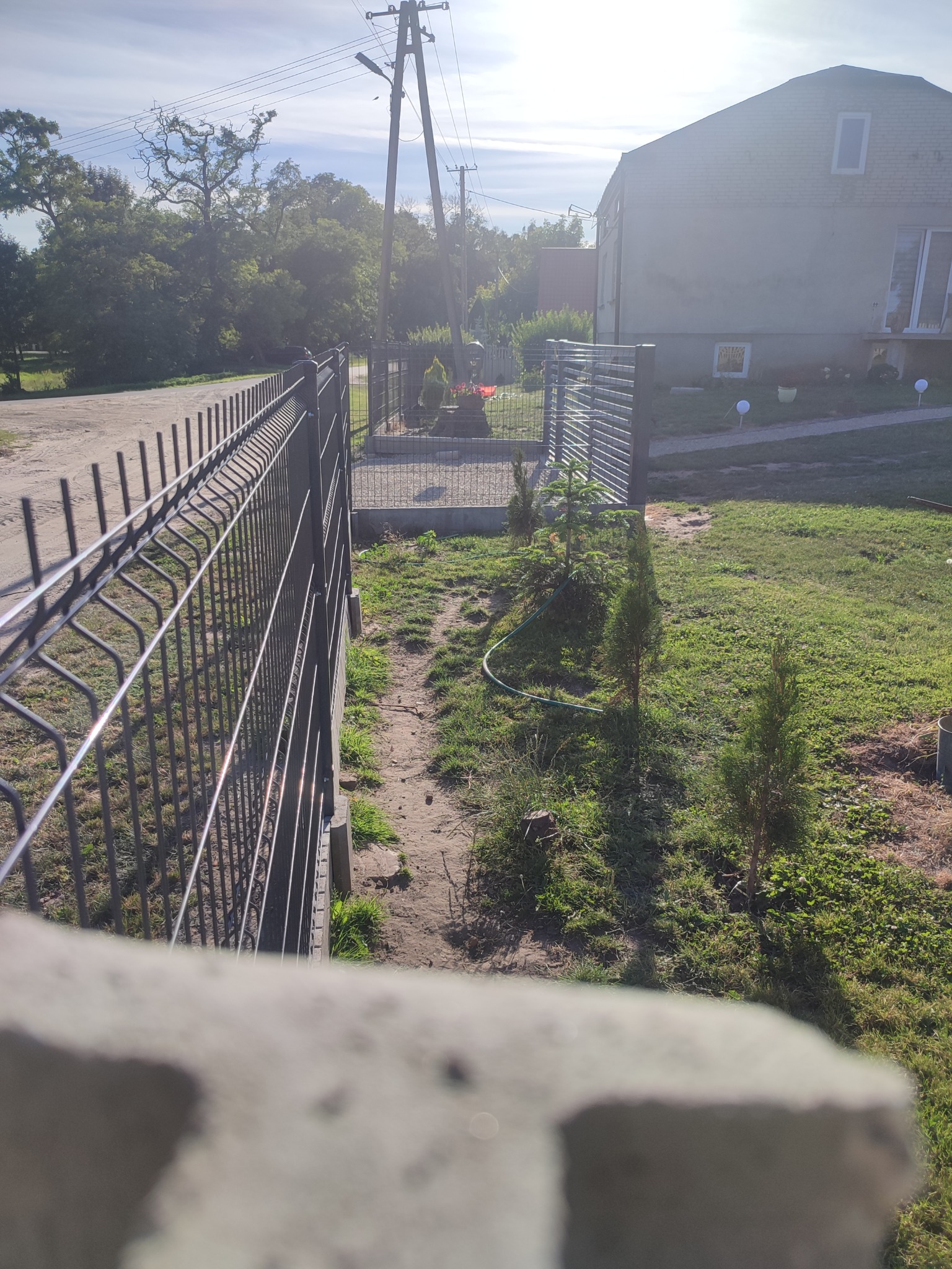 Nowoczesne ogrodzenie panelowe w kolorze grafitowym, widok zza betonowego elementu, z młodymi drzewkami iglastymi w tle i budynkiem mieszkalnym w oddali.