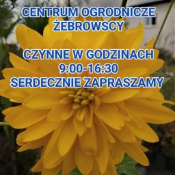 Rośliny i podłoża Iława