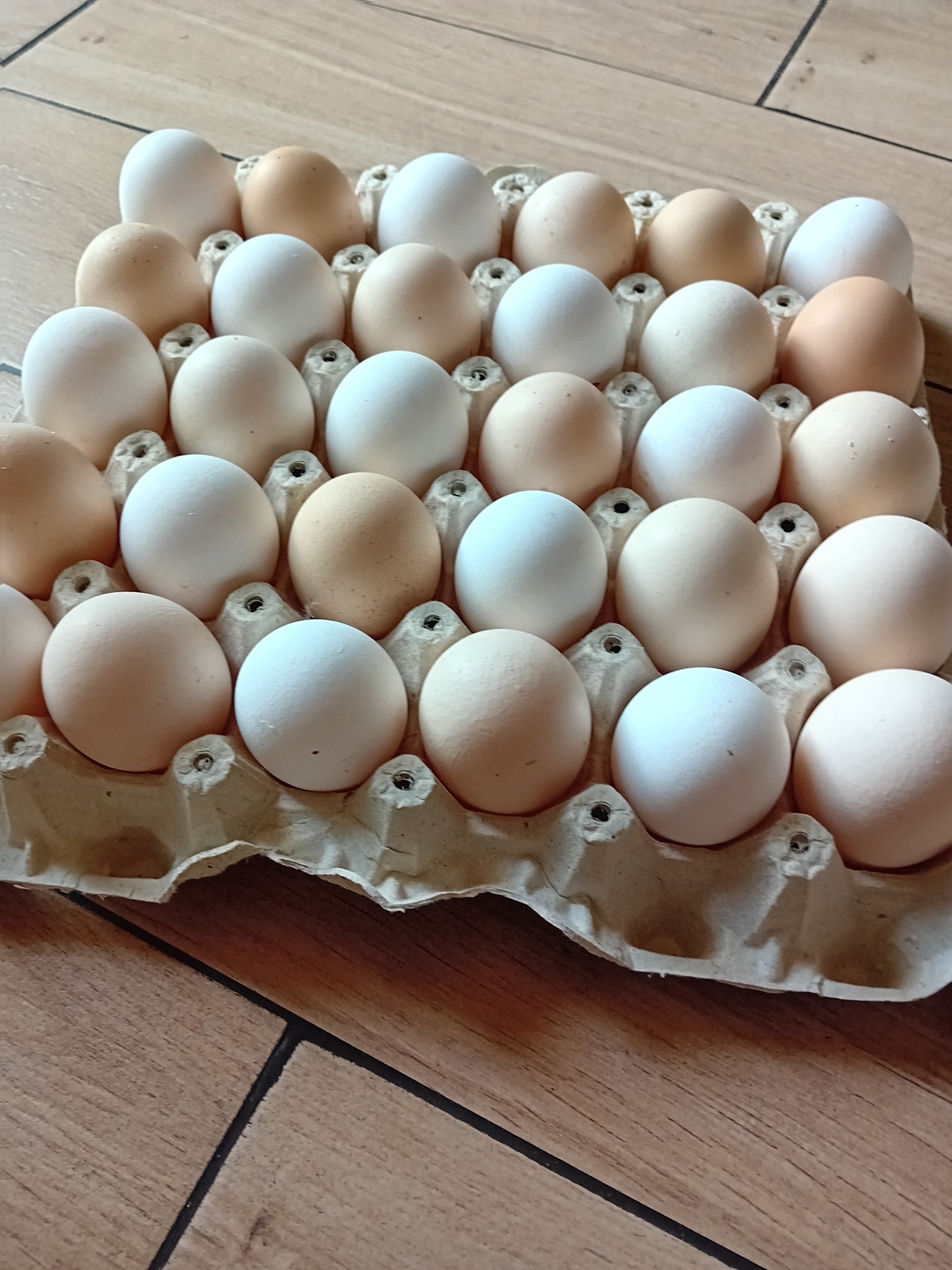 Kartonowe opakowanie z trzydziestoma surowymi produktami o jasnych i brązowych skorupkach, ułożone na drewnianej podłodze.