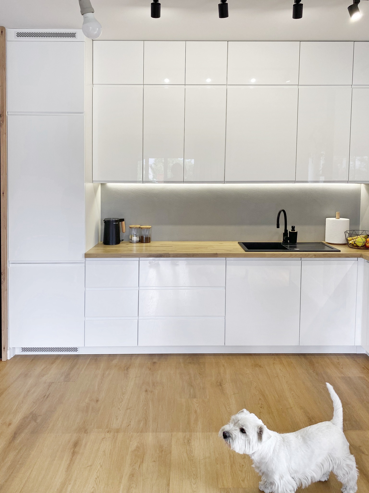 Biała, nowoczesna kuchnia z drewnianym blatem i czarnym zlewem, oświetlenie punktowe, na podłodze pies rasy West Highland White Terrier.