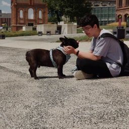 Wyprowadzanie psów Katowice 1