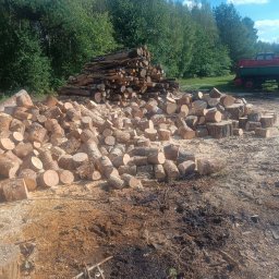 Wycinka drzew Tarnowskie Góry 1