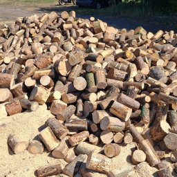 Wycinka drzew Tarnowskie Góry 4