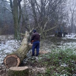 Ovium Patryk Zadrożny - Doskonałe Wycinanie Drzew Tarnowskie Góry