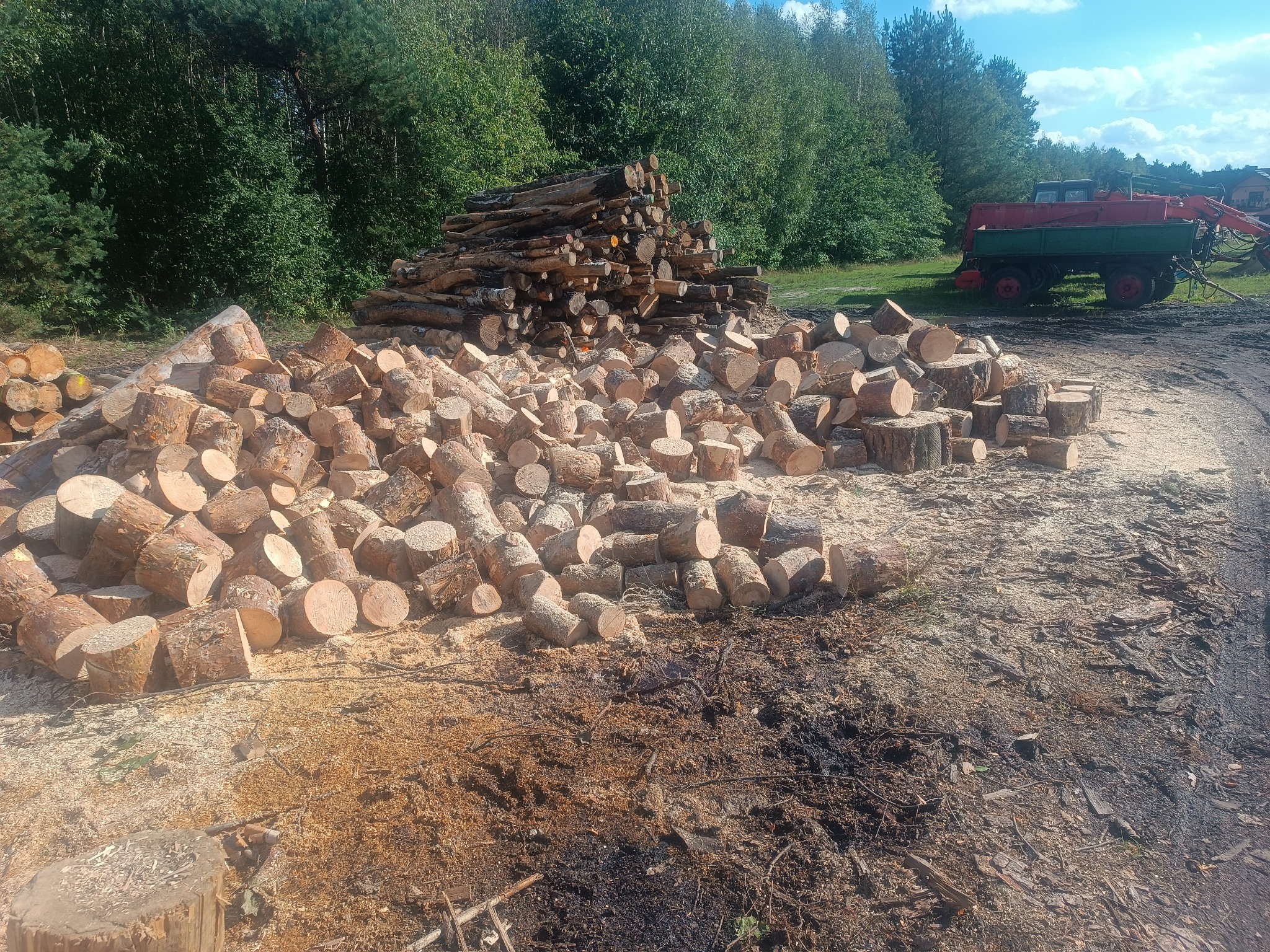 Stosy pociętego drewna kominkowego na tle lasu i maszyny rolniczej. Świeżo pocięte drewno ułożone w pryzmy, widoczne ślady cięcia i kora. Słoneczny dzień.