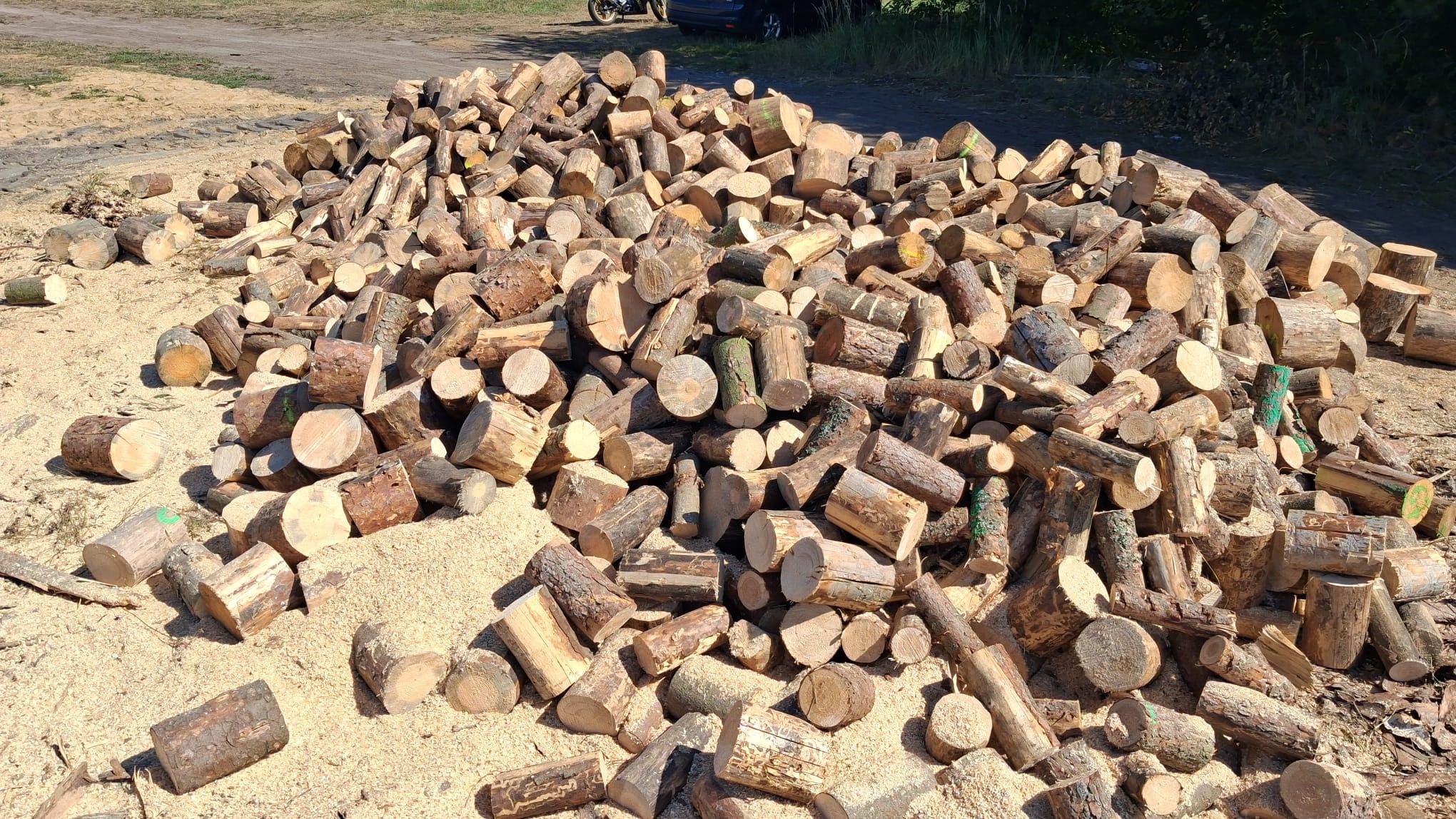 Stos pociętych kloców drewna kominkowego na trocinach, widoczne słoje i kora, w tle motocykl i samochód. Jasne światło słoneczne.