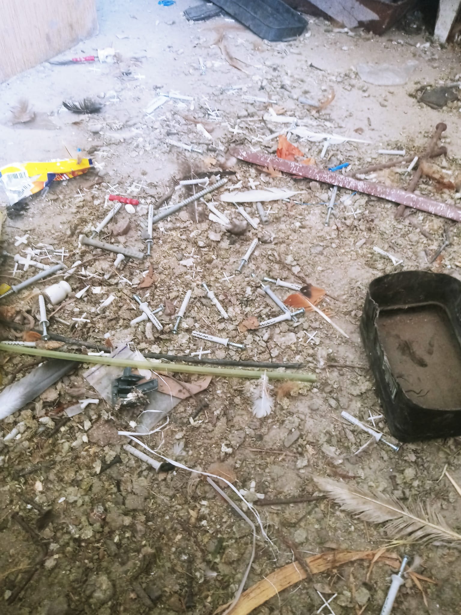 Bardzo zanieczyszczona i zaniedbana podłoga w pomieszczeniu, pokryta gruzem, śmieciami, piórami i elementami montażowymi, prawdopodobnie po remoncie lub nielegalnym składowisku.