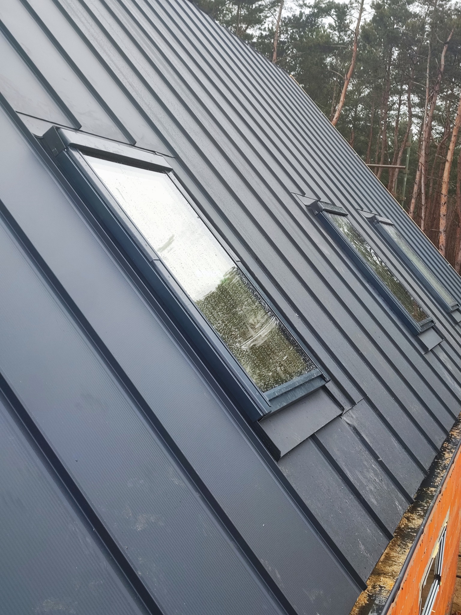 Szary dach z blachy na rąbek stojący z trzema oknami dachowymi, widok z dołu, w tle las iglasty.