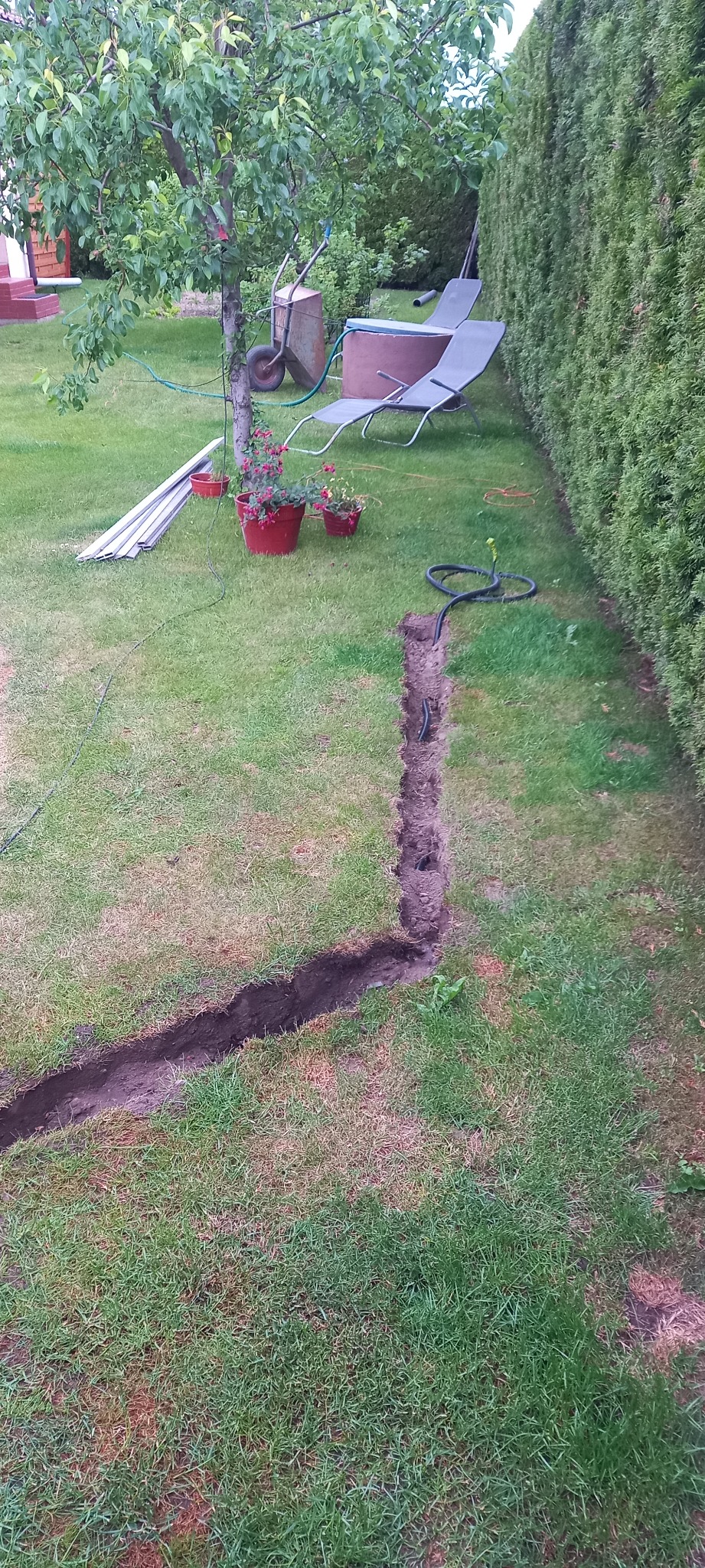 Wykopany rów w trawniku, widoczne zakopane przewody w czarnej osłonie, w tle taczka, leżaki i tuje.