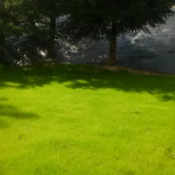 Świeżo założony trawnik z rolki na zboczu, z widoczną siatką wzmacniającą grunt pod spodem.