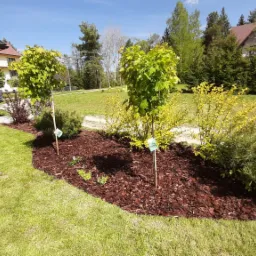 Nowo założony rabat z młodymi drzewkami otoczonymi korą, widoczne podpórki i etykiety szkółkarskie, w tle drewniany dom i trawnik.