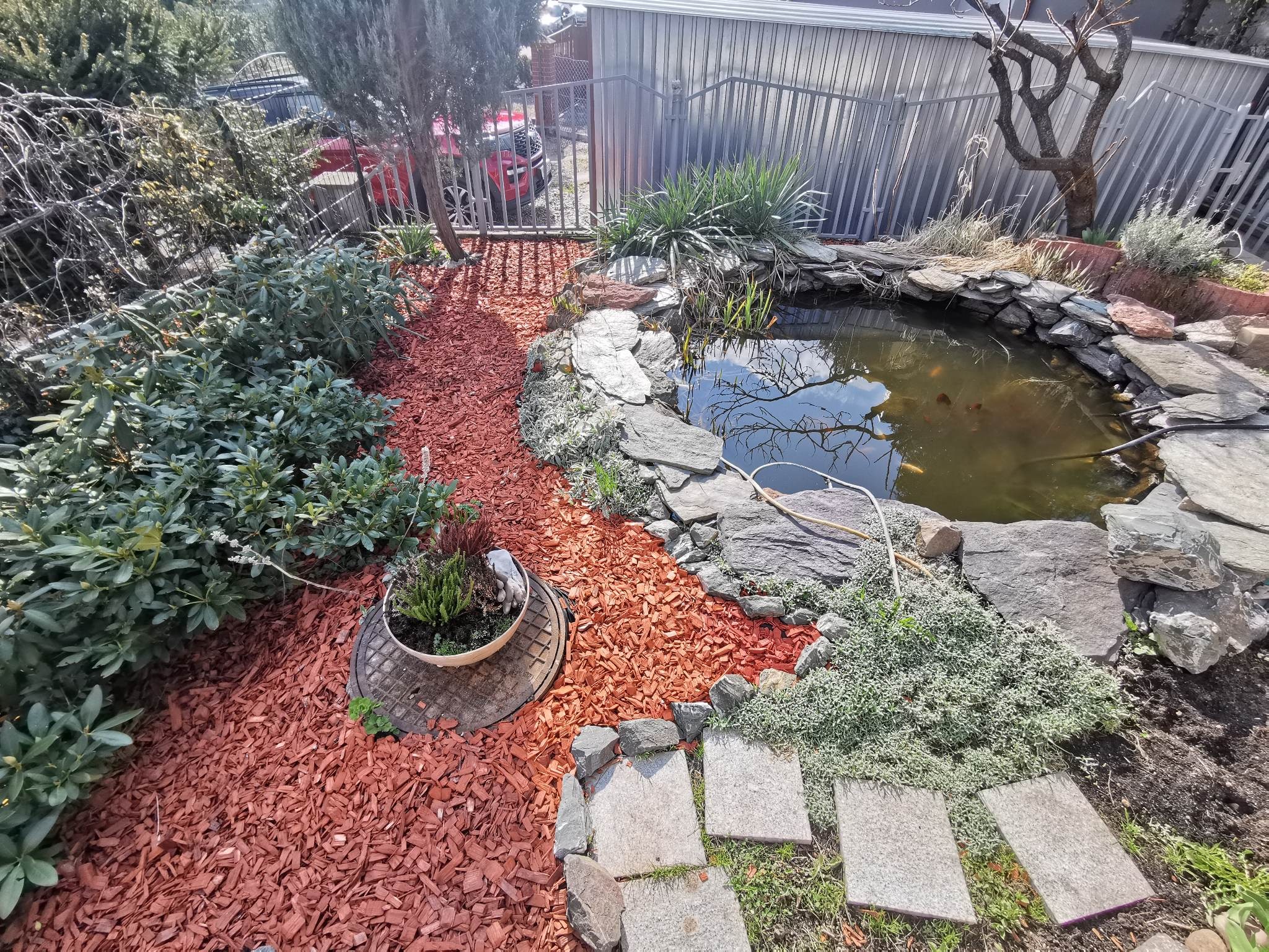 Oczko wodne z kamiennym brzegiem, otoczone czerwonymi zrębkami i roślinnością, z kamienną ścieżką i metalowym ogrodzeniem w tle.