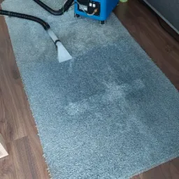 Niebieski odkurzacz piorący z przezroczystą dyszą na wężu, widoczny efekt czyszczenia na niebieskim dywanie shaggy na drewnianej podłodze.