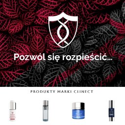 Tworzenie stron internetowych Przytoczna 2