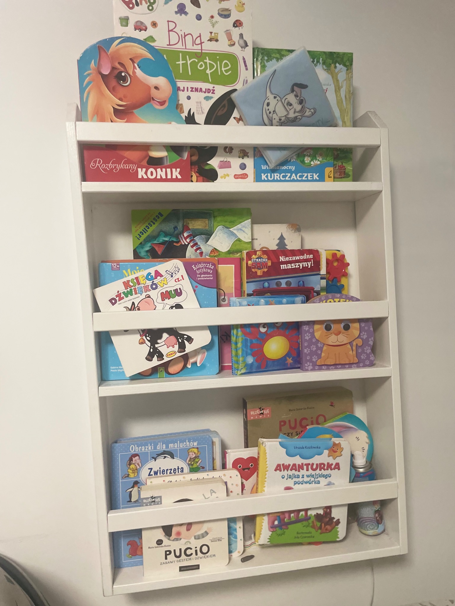 Biały regał dziecięcy wypełniony książkami i zabawkami, z widocznymi tytułami 'Rozbrykany Konik', 'Księga Dźwięków', 'Pucio' i 'Awanturka', ustawionymi na półkach.