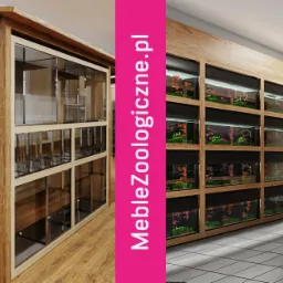 Regał na akwaria z drewnianą obudową, w stylu japońskim z daszkiem, oraz rząd akwari&oacute;w wbudowanych w ścianę, oświetlone, z roślinami i rybami w środku.