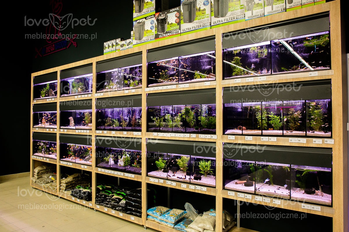 Regał z akwariami w sklepie zoologicznym, różne aranżacje wnętrz akwariów, widoczne rośliny, ryby i akcesoria, na dolnych półkach worki z podłożem.