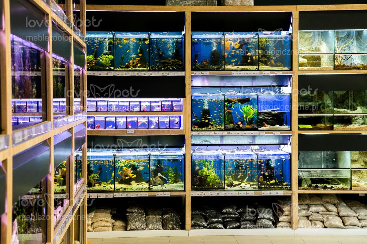 Regał z akwariami w sklepie zoologicznym, widoczne różne gatunki ryb i dekoracje, worki z podłożem na dolnych półkach.