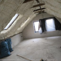 Dezynsekcja i deratyzacja Prudnik 4