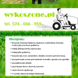 Pielęgnacja ogrodów Częstochowa 2