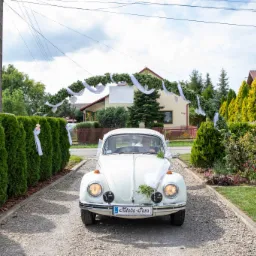 Biały Volkswagen Garbus udekorowany kwiatami i wstążkami, z tablicą rejestracyjną 'Młoda Para', zbliża się po żwirowej drodze, otoczony żywopłotem i kwiatami, pod zielonym łukiem ślubnym.