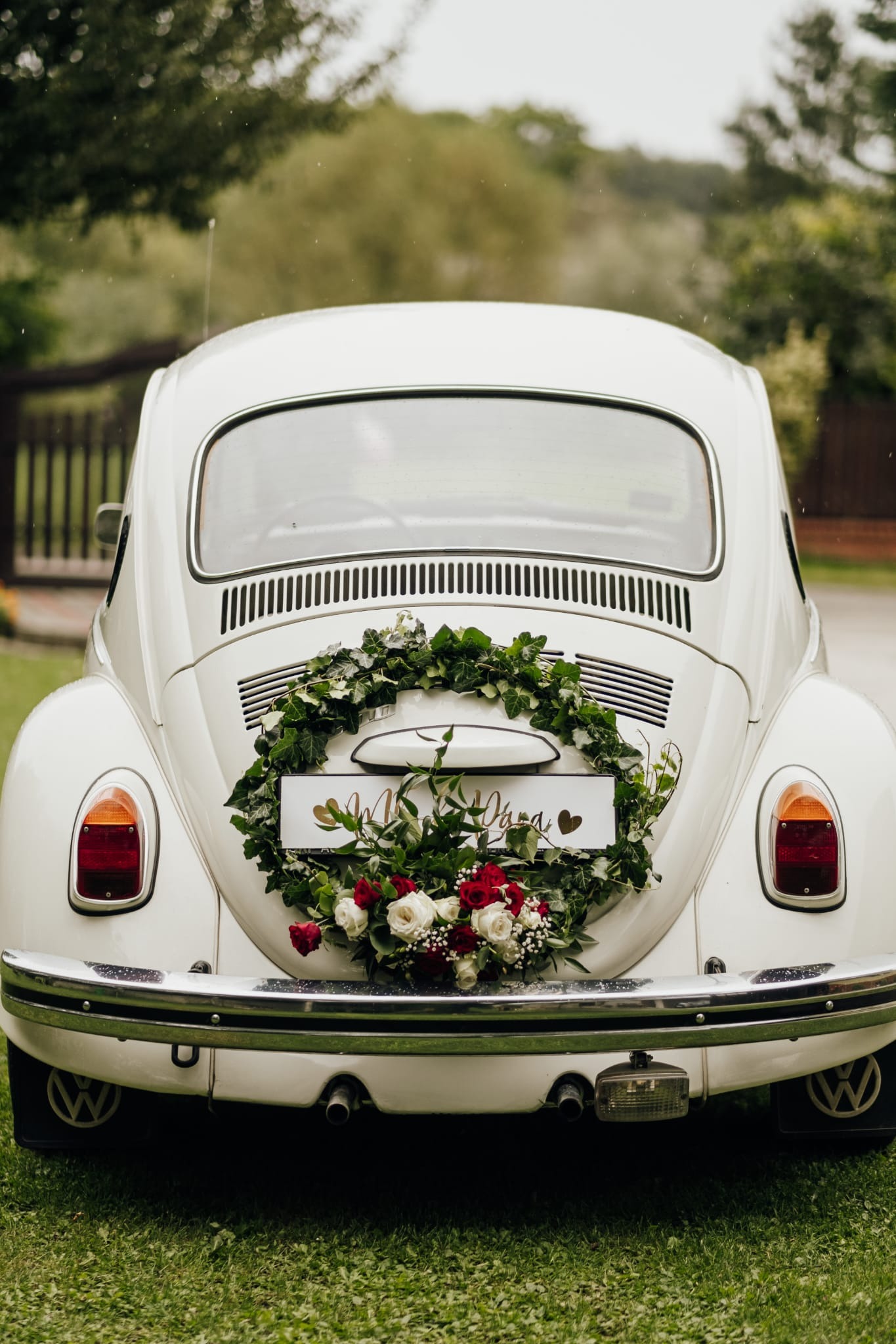 Tył białego, klasycznego Volkswagena Garbusa udekorowanego wieńcem z zielonych liści i czerwono-białych róż, z tablicą 'Mr & Mrs' na tle zieleni.