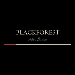 BlackForest Adrian Bonowski - Projektowanie wnętrz mieszkań i domów Choszczno