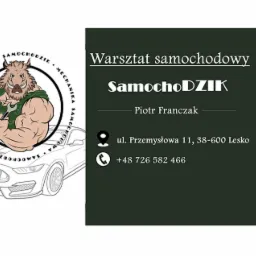 Grafika reklamowa warsztatu samochodowego SamochodZIK: muskularny dzik trzymający klucz, zarys sportowego auta, dane kontaktowe i adres.