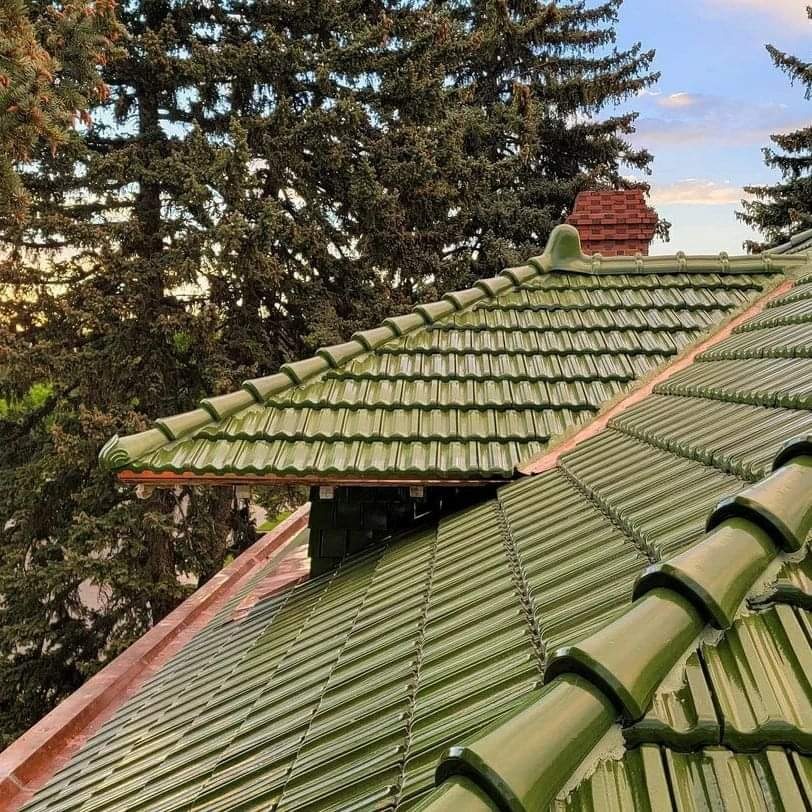 Zielony dach ceramiczny z widocznym kominem w tle, częściowo przysłonięty przez drzewa iglaste.