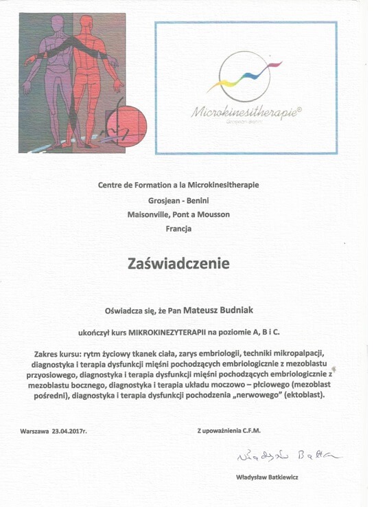 Skan zaświadczenia o ukończeniu kursu mikrokinezyterapii, z ilustracją sylwetki człowieka i logo firmy szkoleniowej.