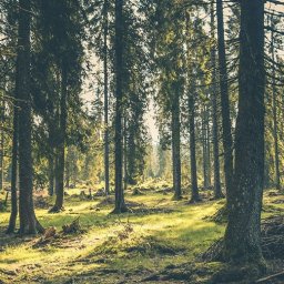 Sprzątanie biur Warszawa 2