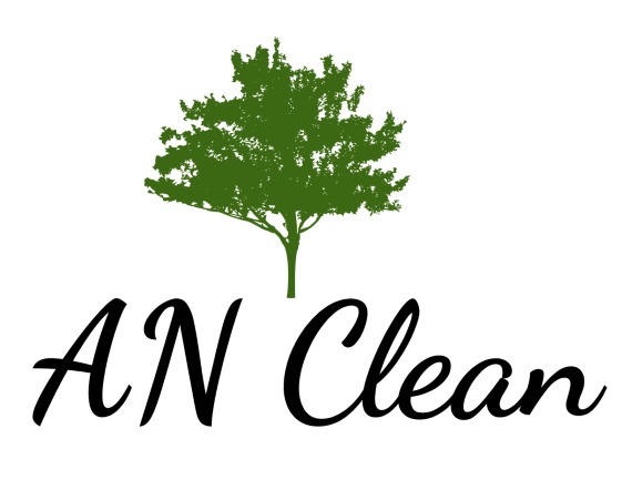 Logo firmy AN Clean z zielonym drzewem nad napisem, czcionka kursywna, na białym tle.