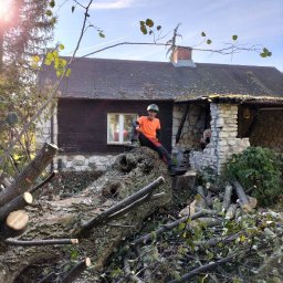 Daniel Drwal - Mężczyzna w kasku i pomarańczowej koszulce siedzi na powalonym pniu drzewa przed domem z kamienną elewacją, w tle widać osobę wyglądającą z okna