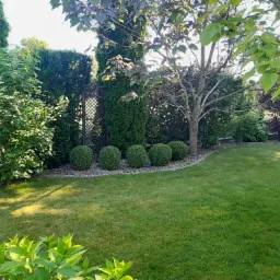 Zadbany ogród z równo przystrzyżonym trawnikiem, kulistymi krzewami i drzewami. Dekoracyjna kratka ogrodowa w tle, kamienna obwódka rabaty. Oświetlenie słoneczne.