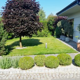 Daniel Drwal - Przed domem Lublin