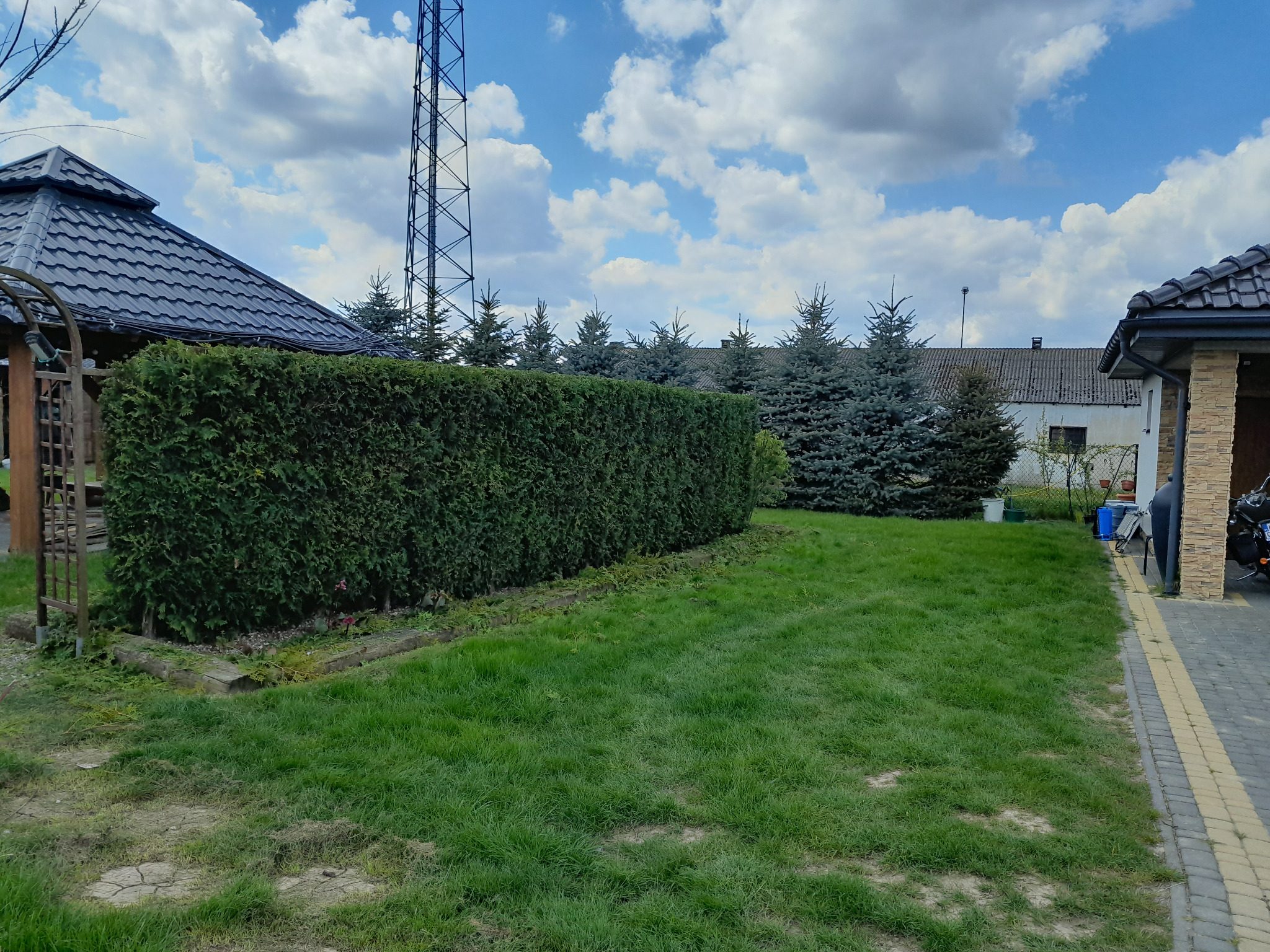 Starannie przycięty żywopłot z tui szmaragdowej w ogrodzie, z widoczną altaną i drzewami iglastymi w tle, pod błękitnym niebem z obłokami.