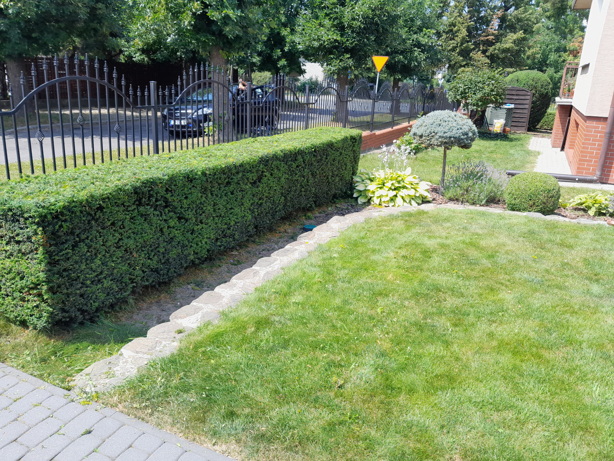 Starannie utrzymany ogród z równo przyciętym żywopłotem wzdłuż kutego ogrodzenia, kuliste krzewy i trawnik, widoczne ślady świeżo skoszonej trawy przy krawężniku.