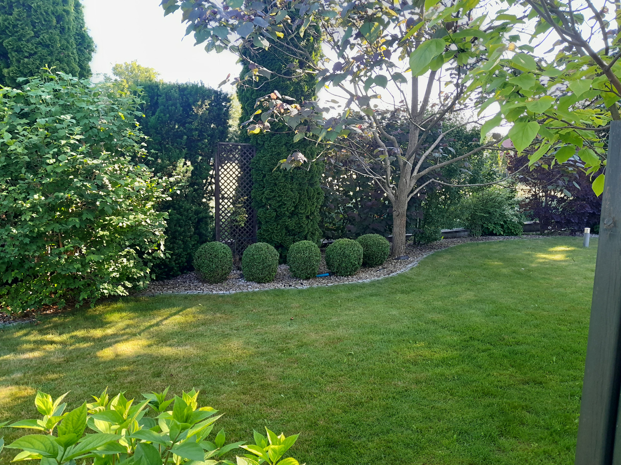 Zadbany ogród z równo przystrzyżonym trawnikiem, kulistymi krzewami i drzewami. Dekoracyjna kratka ogrodowa w tle, kamienna obwódka rabaty. Oświetlenie słoneczne.