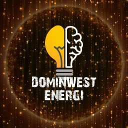 SERHII DOMIN DOMINWEST ENERGI