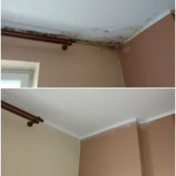 Porównanie stanu ściany i sufitu przed i po usunięciu pleśni i wilgoci, widoczne ślady po zalaniu i wykwity grzybiczne na górnym zdjęciu, oraz czysta powierzchnia po zabiegu na dolnym zdjęciu,...